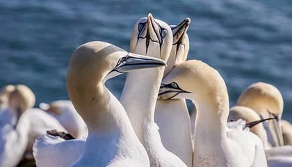 世界杯金靴奖-上海已是F1痛城！中国大奖赛即将在沪开幕，格子旗嘉年华、赛车节等热闹活动齐发车