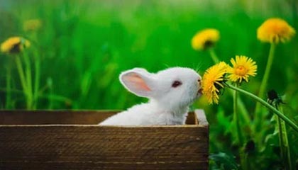 世界杯最佳门将-2026胡润全球富豪榜出炉：字节跳动张一鸣以5500亿元成中国首富；马斯克以5.5万亿元蝉联世界首富宝座